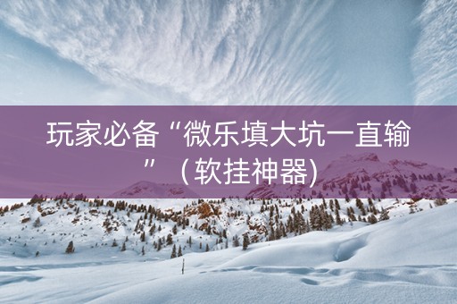 玩家必备“微乐填大坑一直输”（软挂神器)