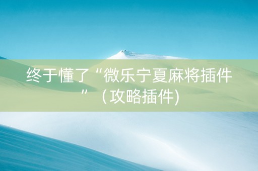 终于懂了“微乐宁夏麻将插件”（攻略插件)