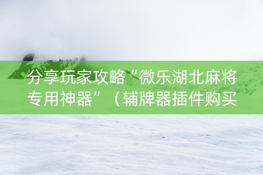 分享玩家攻略“微乐湖北麻将专用神器”（辅牌器插件购买)
