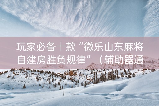 玩家必备十款“微乐山东麻将自建房胜负规律”（辅助器通用版)