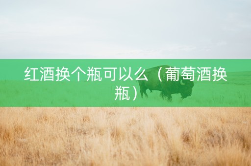 红酒换个瓶可以么（葡萄酒换瓶）