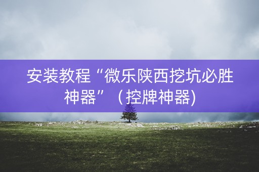 安装教程“微乐陕西挖坑必胜神器”（控牌神器)