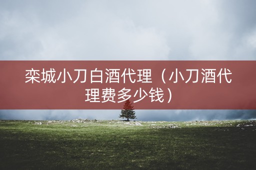 栾城小刀白酒代理（小刀酒代理费多少钱）