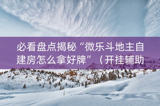 必看盘点揭秘“微乐斗地主自建房怎么拿好牌”（开挂辅助脚本)