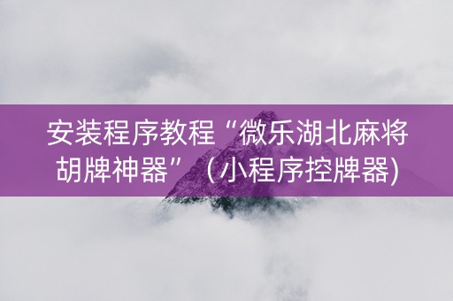 安装程序教程“微乐湖北麻将胡牌神器”（小程序控牌器)