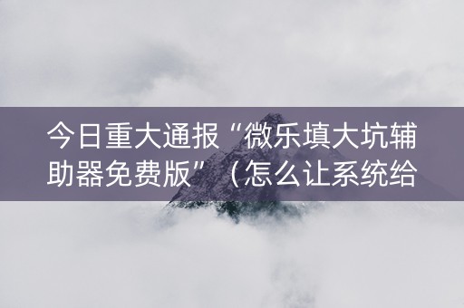 今日重大通报“微乐填大坑辅助器免费版”（怎么让系统给你发好牌)