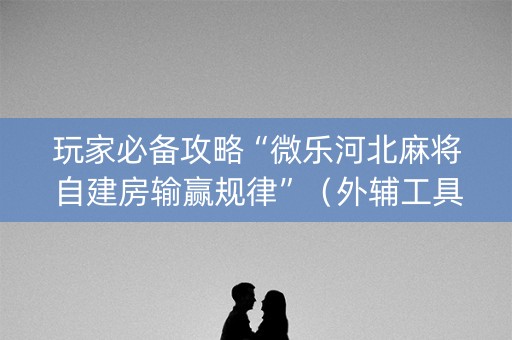 玩家必备攻略“微乐河北麻将自建房输赢规律”（外辅工具)