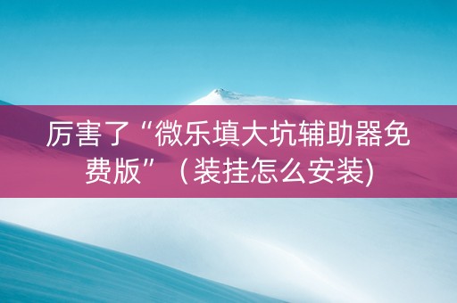 厉害了“微乐填大坑辅助器免费版”（装挂怎么安装)