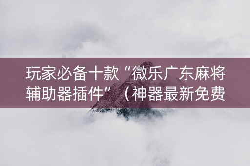玩家必备十款“微乐广东麻将辅助器插件”（神器最新免费)