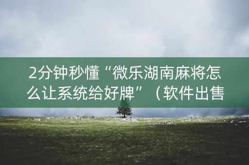 2分钟秒懂“微乐湖南麻将怎么让系统给好牌”（软件出售)