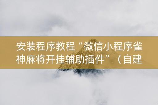 安装程序教程“微信小程序雀神麻将开挂辅助插件”（自建房怎么拿好牌)