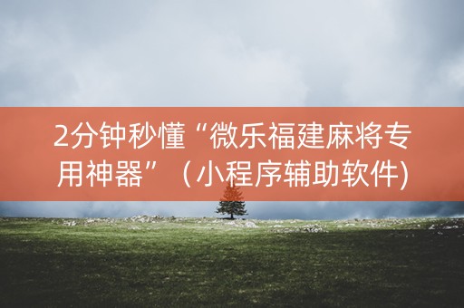 2分钟秒懂“微乐福建麻将专用神器”（小程序辅助软件)