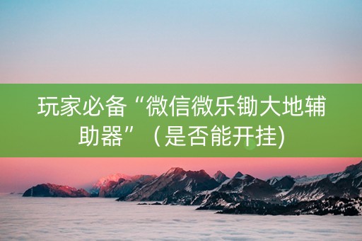 玩家必备“微信微乐锄大地辅助器”（是否能开挂)