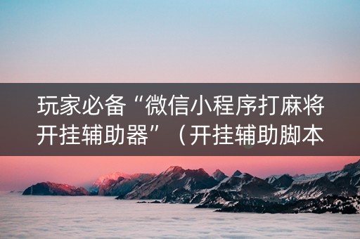 玩家必备“微信小程序打麻将开挂辅助器”（开挂辅助脚本)