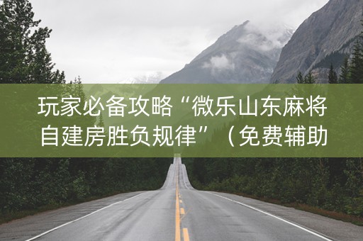 玩家必备攻略“微乐山东麻将自建房胜负规律”（免费辅助)