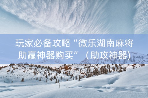玩家必备攻略“微乐湖南麻将助赢神器购买”（助攻神器)