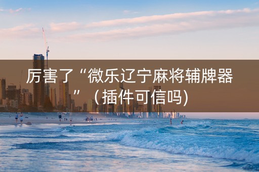 厉害了“微乐辽宁麻将辅牌器”（插件可信吗)