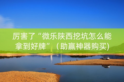 厉害了“微乐陕西挖坑怎么能拿到好牌”（助赢神器购买)