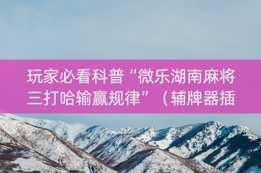 玩家必看科普“微乐湖南麻将三打哈输赢规律”（辅牌器插件购买)