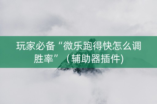 玩家必备“微乐跑得快怎么调胜率”（辅助器插件)