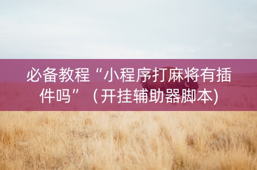 必备教程“小程序打麻将有插件吗”（开挂辅助器脚本)