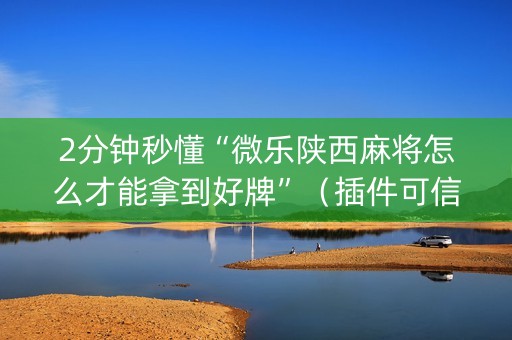 2分钟秒懂“微乐陕西麻将怎么才能拿到好牌”（插件可信吗)