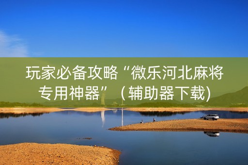 玩家必备攻略“微乐河北麻将专用神器”（辅助器下载)