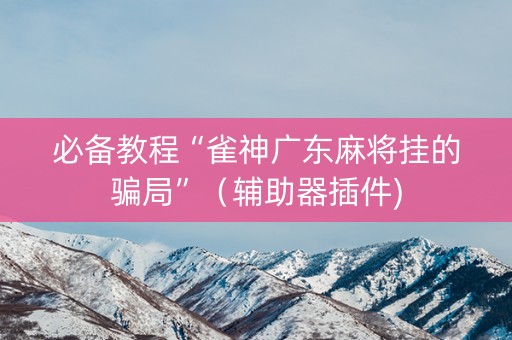 必备教程“雀神广东麻将挂的骗局”（辅助器插件)