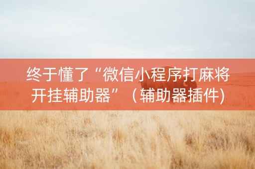 终于懂了“微信小程序打麻将开挂辅助器”（辅助器插件)