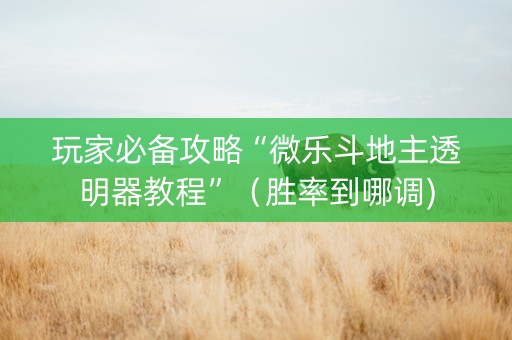 玩家必备攻略“微乐斗地主透明器教程”（胜率到哪调)