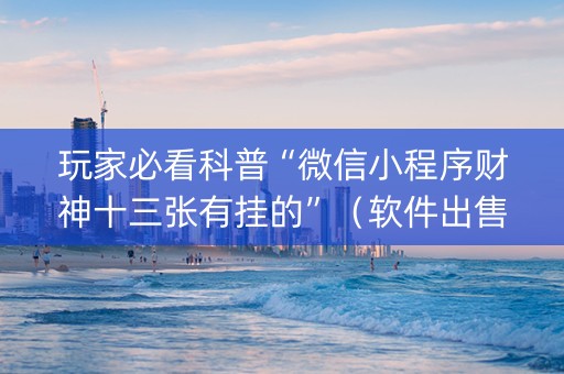玩家必看科普“微信小程序财神十三张有挂的”（软件出售)