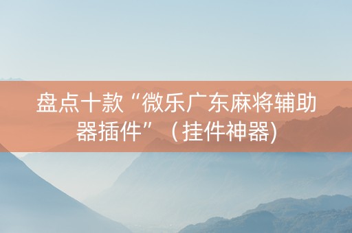 盘点十款“微乐广东麻将辅助器插件”（挂件神器)