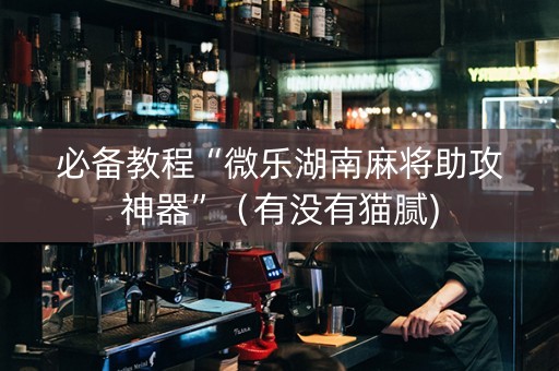 必备教程“微乐湖南麻将助攻神器”（有没有猫腻)