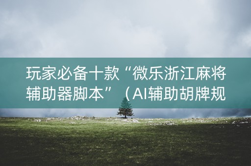 玩家必备十款“微乐浙江麻将辅助器脚本”（AI辅助胡牌规则)