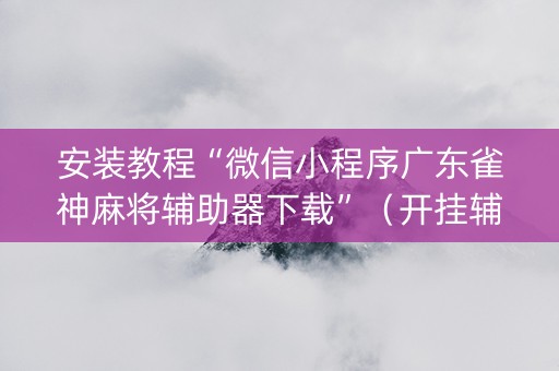 安装教程“微信小程序广东雀神麻将辅助器下载”（开挂辅助插件)