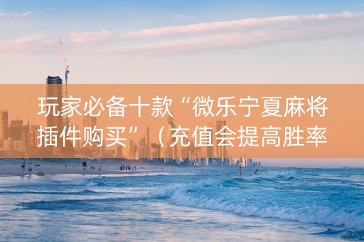 玩家必备十款“微乐宁夏麻将插件购买”（充值会提高胜率么)
