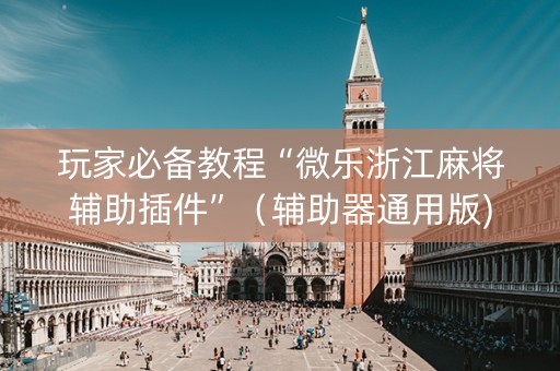 玩家必备教程“微乐浙江麻将辅助插件”（辅助器通用版)