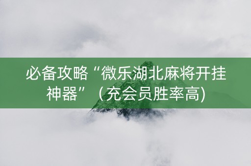 必备攻略“微乐湖北麻将开挂神器”（充会员胜率高)