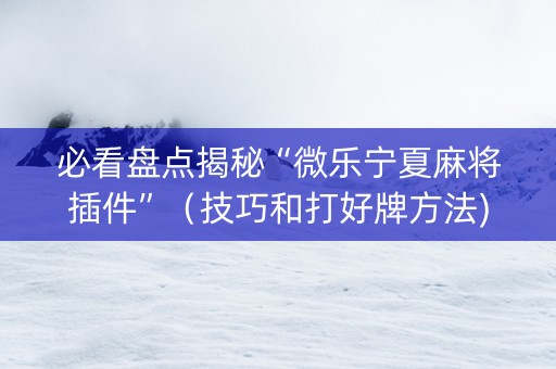 必看盘点揭秘“微乐宁夏麻将插件”（技巧和打好牌方法)
