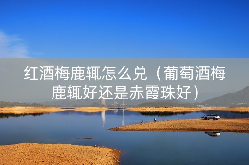 红酒梅鹿辄怎么兑（葡萄酒梅鹿辄好还是赤霞珠好）