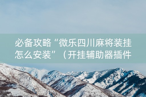 必备攻略“微乐四川麻将装挂怎么安装”（开挂辅助器插件)