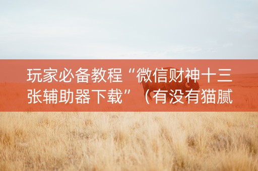 玩家必备教程“微信财神十三张辅助器下载”（有没有猫腻)