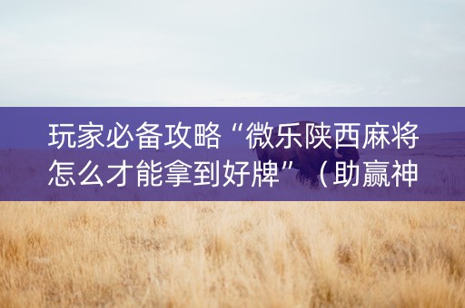 玩家必备攻略“微乐陕西麻将怎么才能拿到好牌”（助赢神器购买)