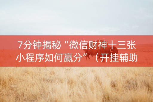 7分钟揭秘“微信财神十三张小程序如何赢分”（开挂辅助器脚本)