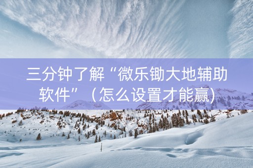 三分钟了解“微乐锄大地辅助软件”（怎么设置才能赢)