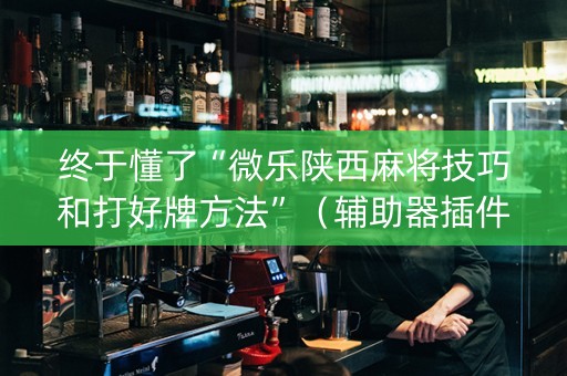 终于懂了“微乐陕西麻将技巧和打好牌方法”（辅助器插件)