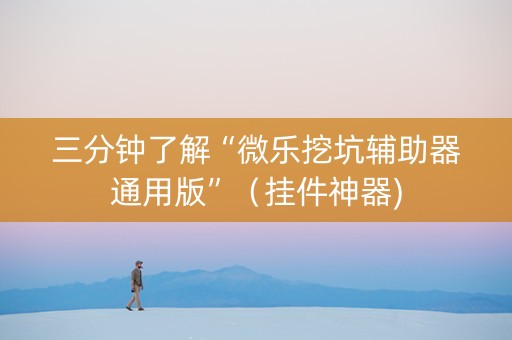 三分钟了解“微乐挖坑辅助器通用版”（挂件神器)
