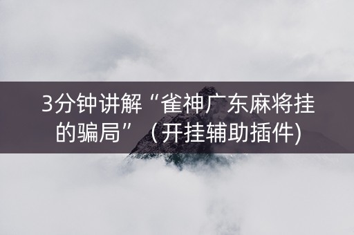 3分钟讲解“雀神广东麻将挂的骗局”（开挂辅助插件)
