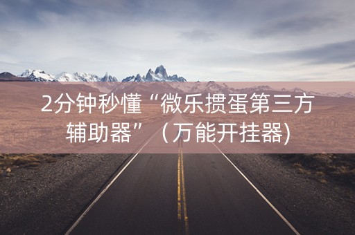 2分钟秒懂“微乐掼蛋第三方辅助器”（万能开挂器)