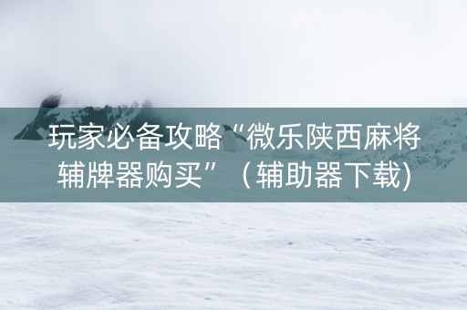 玩家必备攻略“微乐陕西麻将辅牌器购买”（辅助器下载)